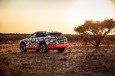 Audi e-tron prototype en Namibia_41