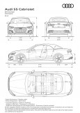 Audi S5 Cabriolet TFSI