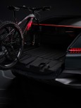 Audi activesphere concept
