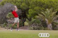 Audi quattro Cup 2024