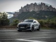 Audi RS Q8 performance