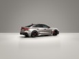 Audi RS 5: Debut as hot-lap car at Formula 1